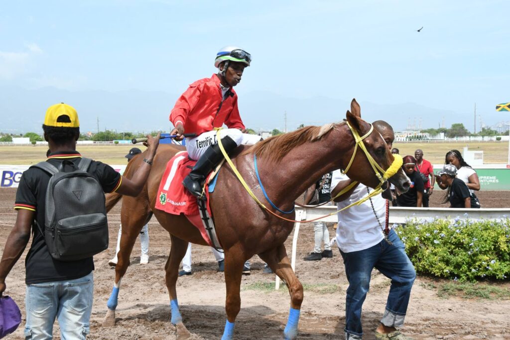 Password makes it three -straight wins with 13-length romp