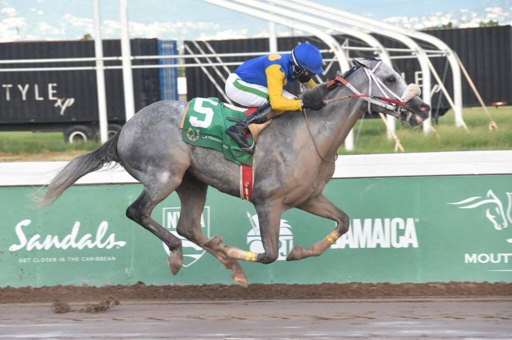 Mojito seeks form revival in Arthur Jones Memorial Cup