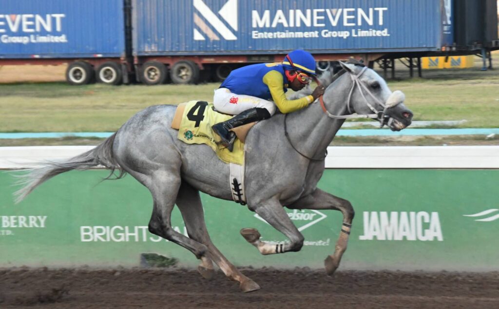 Mojito back to winning ways in Arthur Jones Memorial Cup