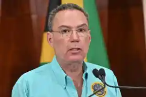 Dimerit Demerit points system under review, says Vaz - Jamaica Observer