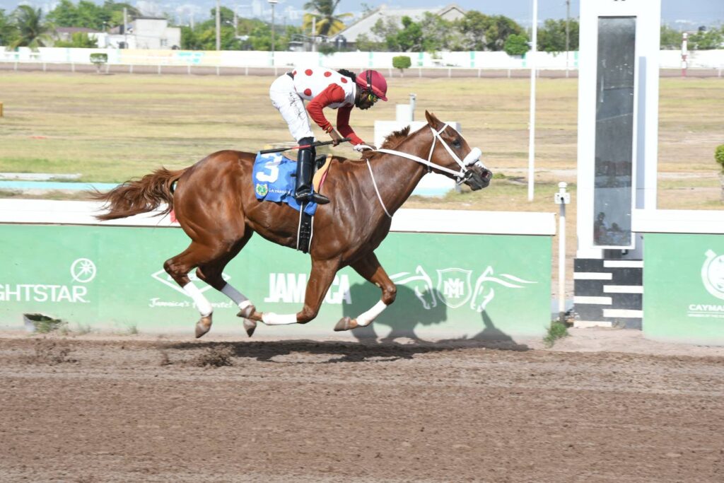 DaCosta’s dominance continues with Saturday treble at Caymanas Park