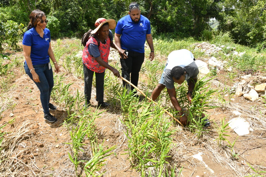 JN Foundation supports entrepreneurs as they rebuild after Hurricane Melissa