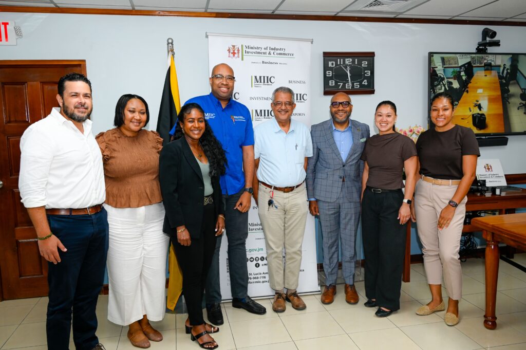 Stakeholders advance plans for renewal initiative in New Kingston