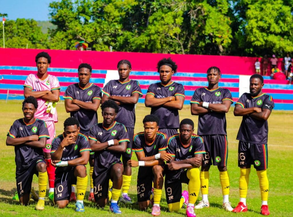 Humble Lion return with ambitions beyond survival