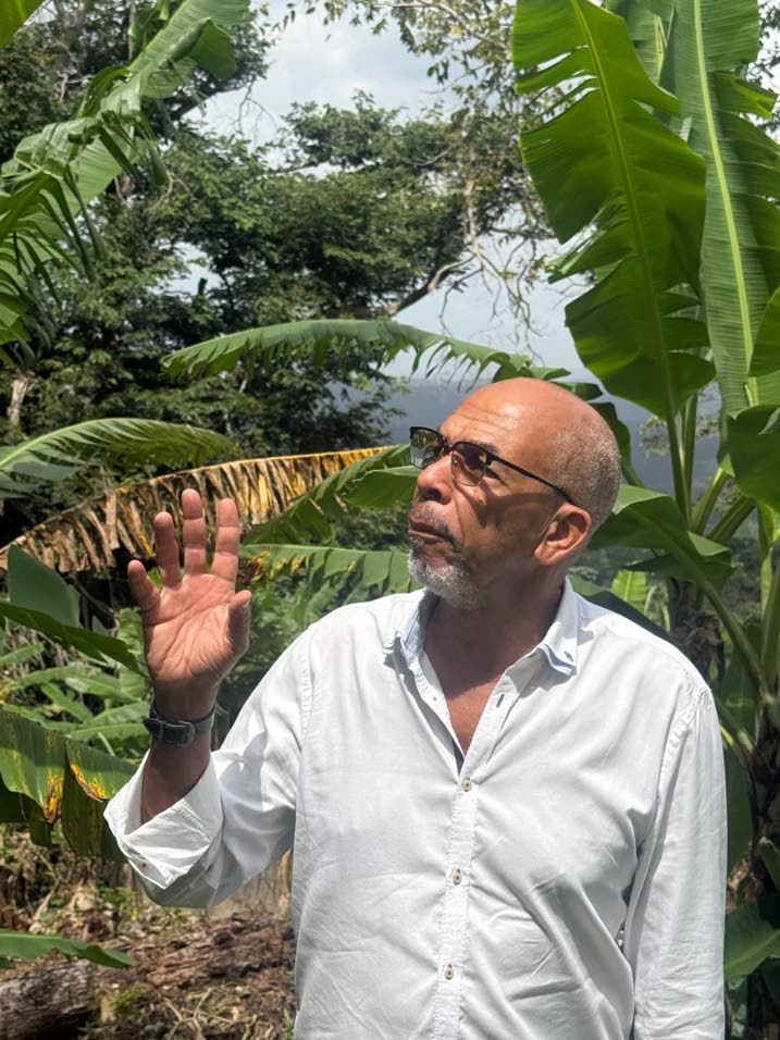 Tourism plan under threat, says environmentalist