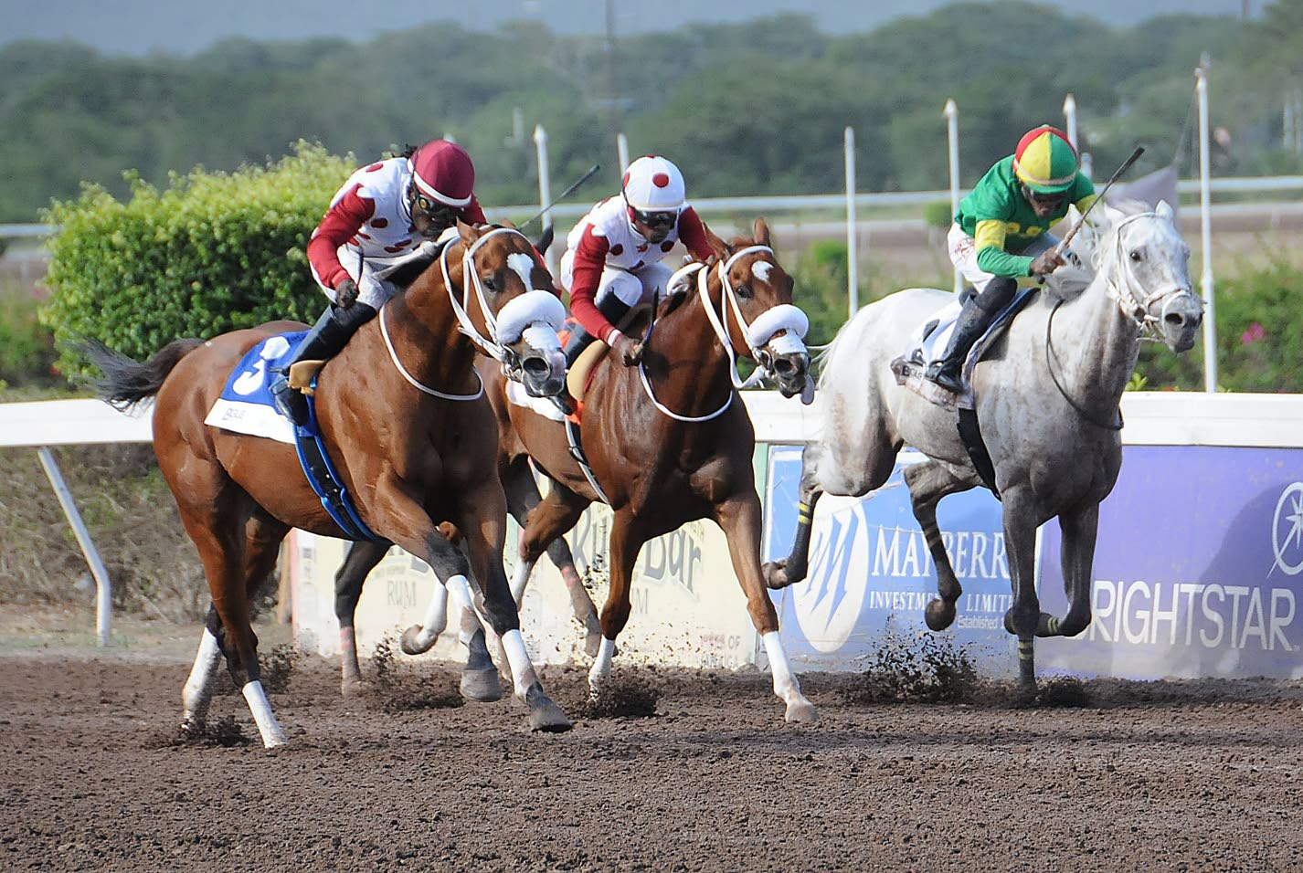 Dothraki faces stiff test in None Such Sprint feature at Caymanas Park