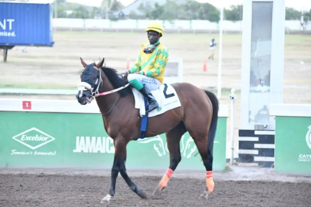 Allen Ruddy Nephew favoured in Caymanas 67th Anniversary - Jamaica Observer