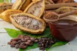 Chocolate bar with a QR code that can prove where every bean came from - Jamaica Observer