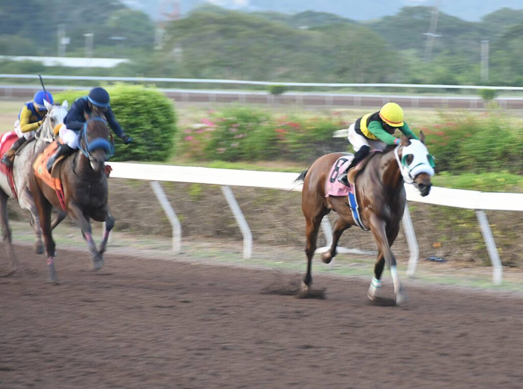 Supremasi lands Bimbo Rodriguez Trophy