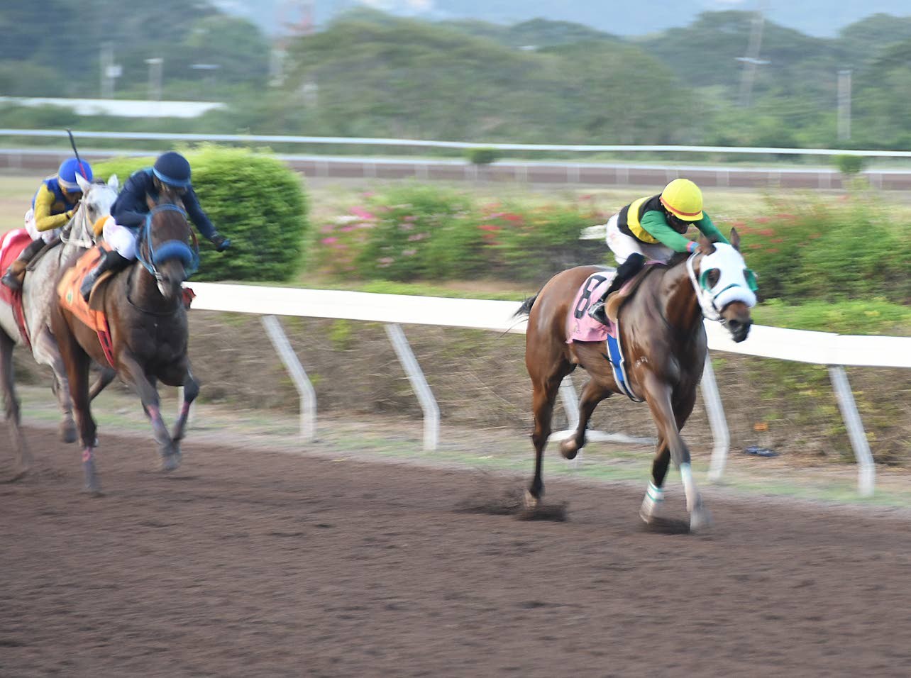 Supremasi lands Bimbo Rodriguez Trophy
