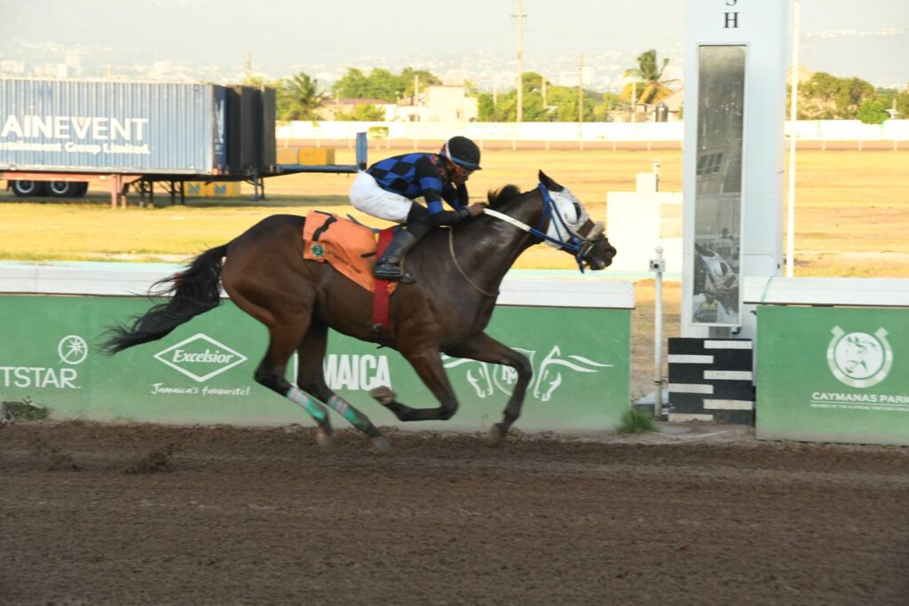 Whizz Kidd upsets at 23-1 in O&S Tack Room Trophy