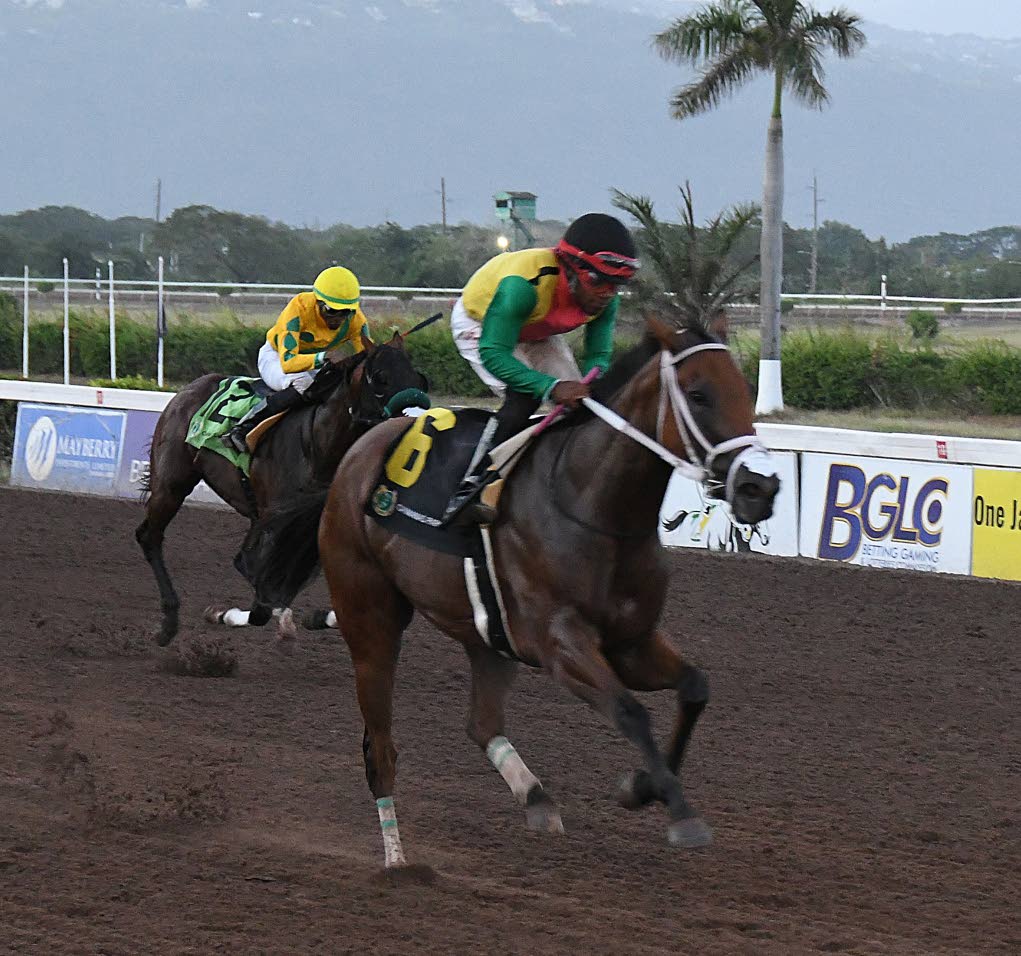 Anderson boots home double to take season tally to 23