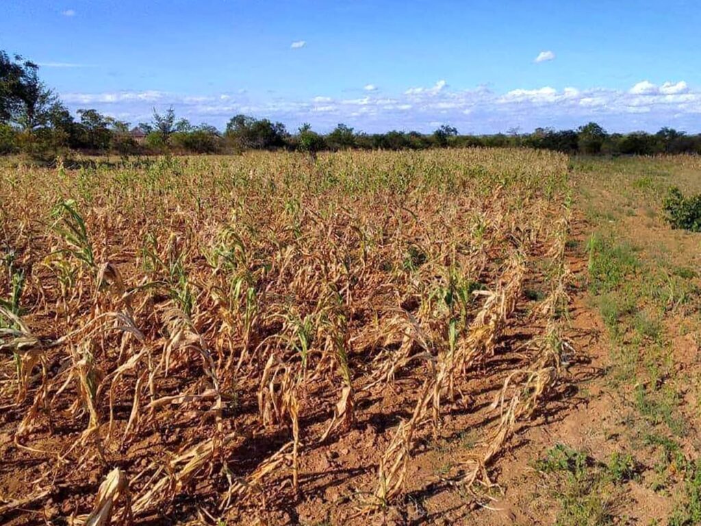 ILO says jobs, livelihoods at risk from El Niño