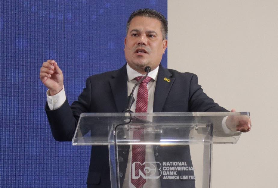 Public funds not enough for climate resilience — Samuda