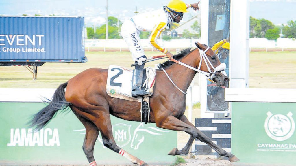 Dream Catcher exerts her class in Jamaica Oaks Classic rout