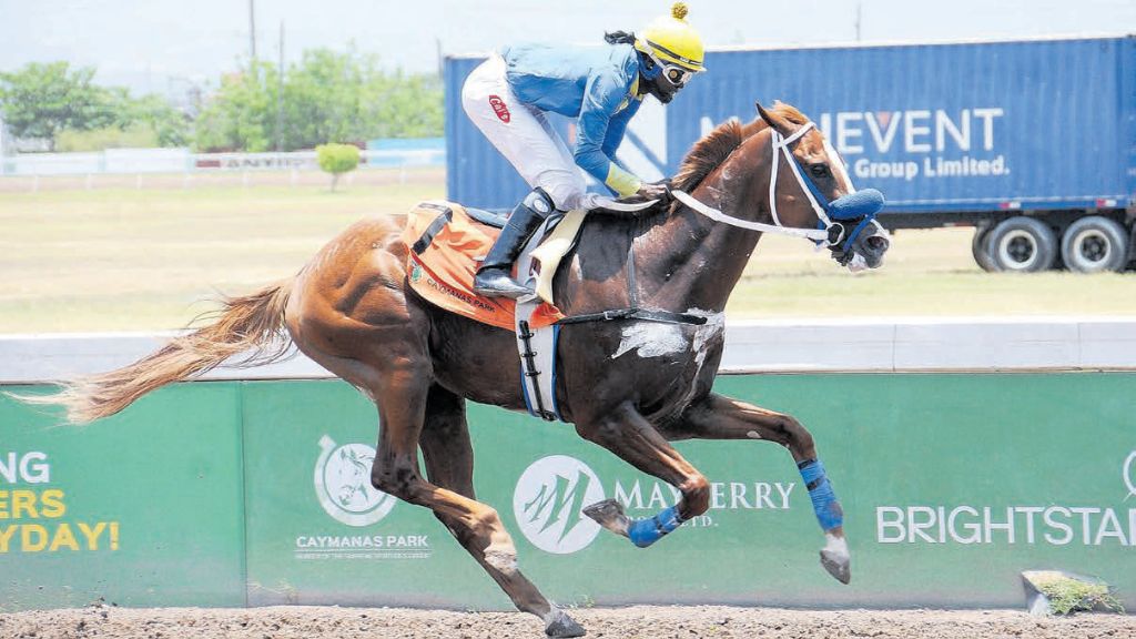 Golden Ambassador finally finds his groove in maiden win