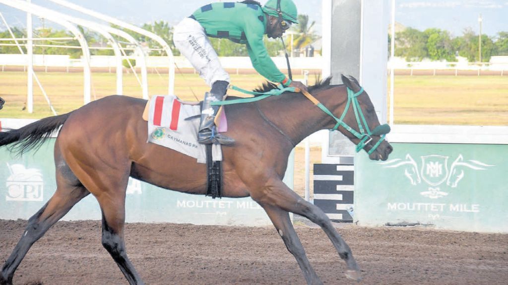I Dream Again a safe bet Kaz HoShay Trophy