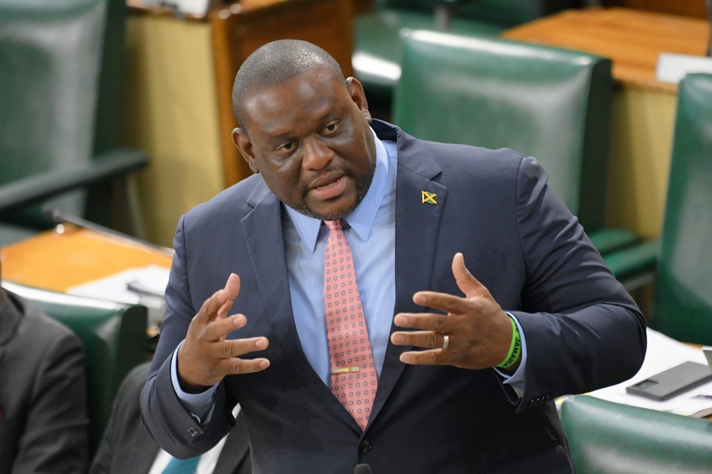 Govât senator accuses PNP of hypocritical rhetoric in debate over land and housing challenges