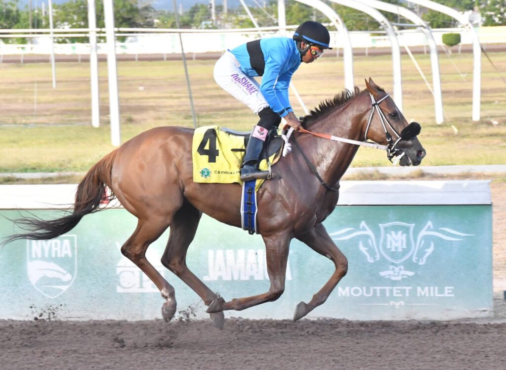 Desert of Malibu faces California Crown in five-furlong showdown