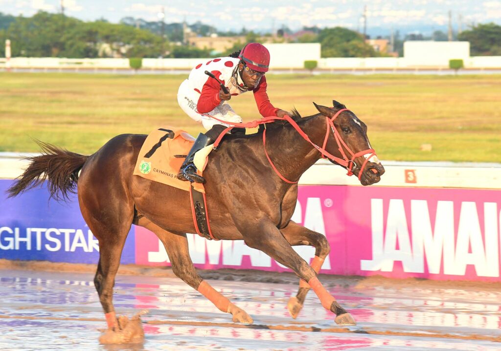 Girvano to grind rivals in Kenneth Mattis Memorial Cup