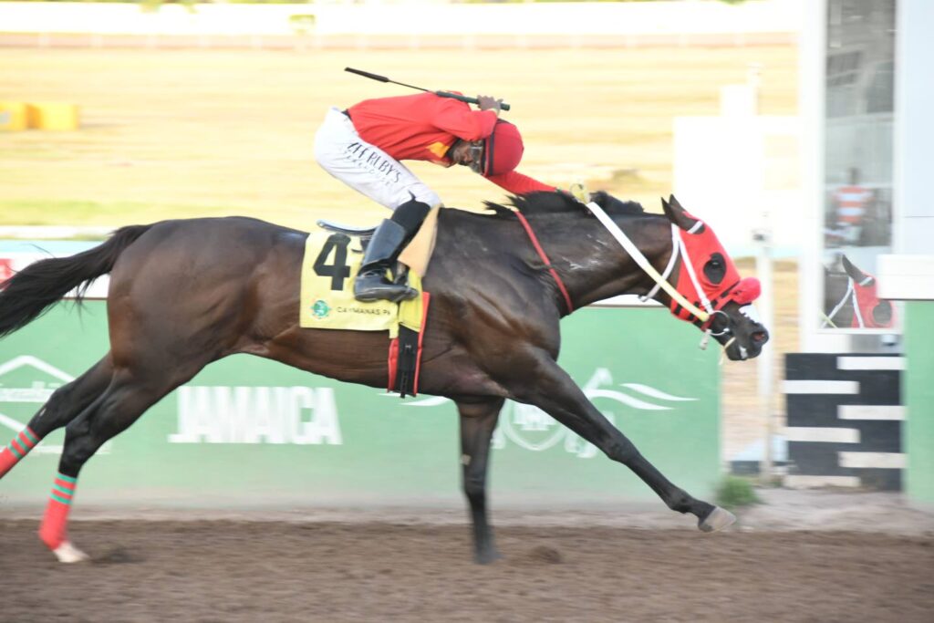 Philip Feanny Gold Cup headlines race card at Caymanas Park