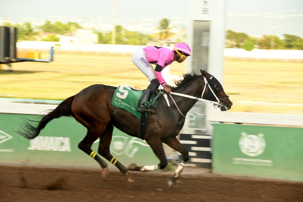 The Prince’s Spur crushes rivals by 14 lengths in Typewriter Trophy feature