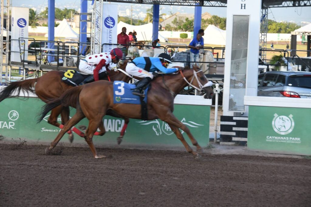 Desert of Malibu favoured for top-rated Open Allowance contest