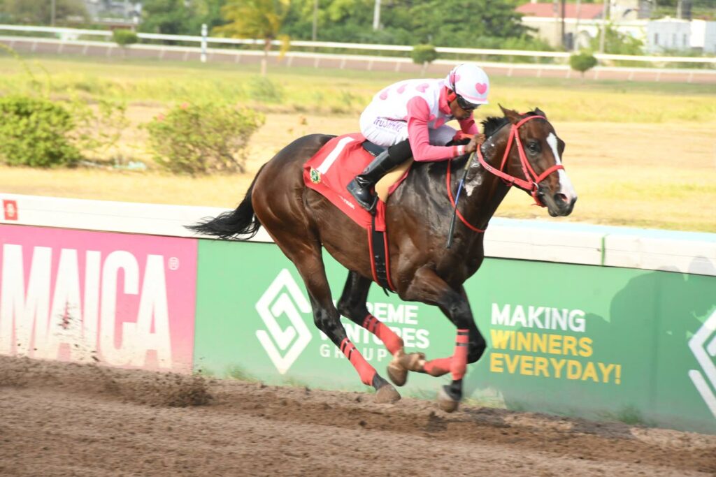 Gallant Groom blows them away by 19 lengths
