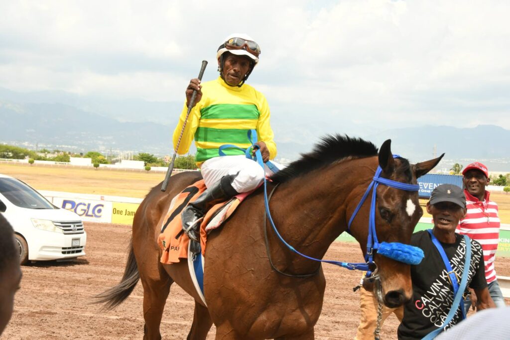 Dreambeachdreaming arrives with emphatic debut win