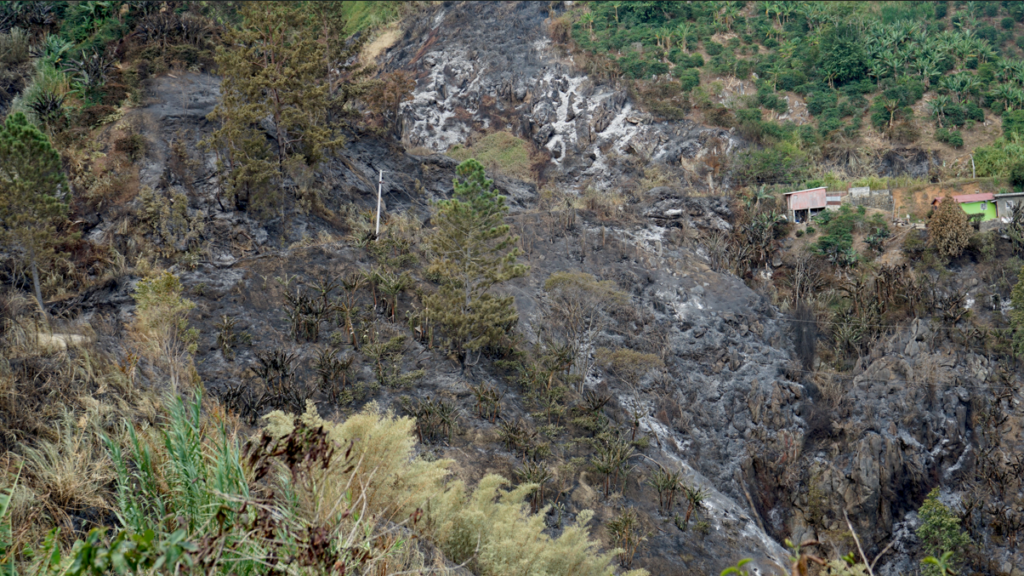 JACRA urges fire safety as Blue Mountain blaze leaves coffee farmers facing major losses