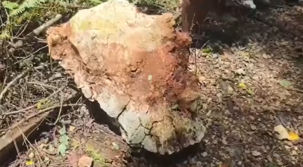 St Elizabeth student injured by falling boulder still unconscious at UHWI