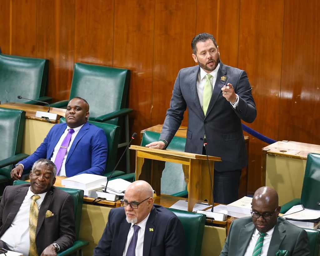 Tavares-Finson cautions against any substantial changes to Firearms Act
