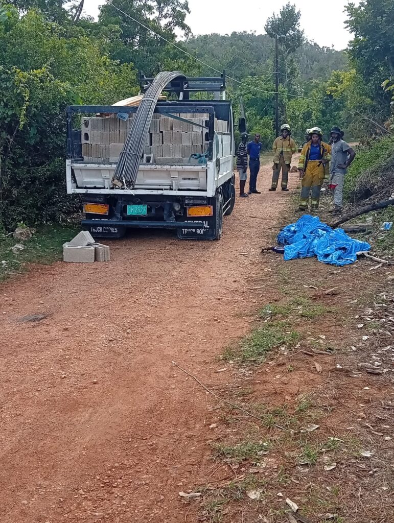 Trelawny truck driver killed in freak accident