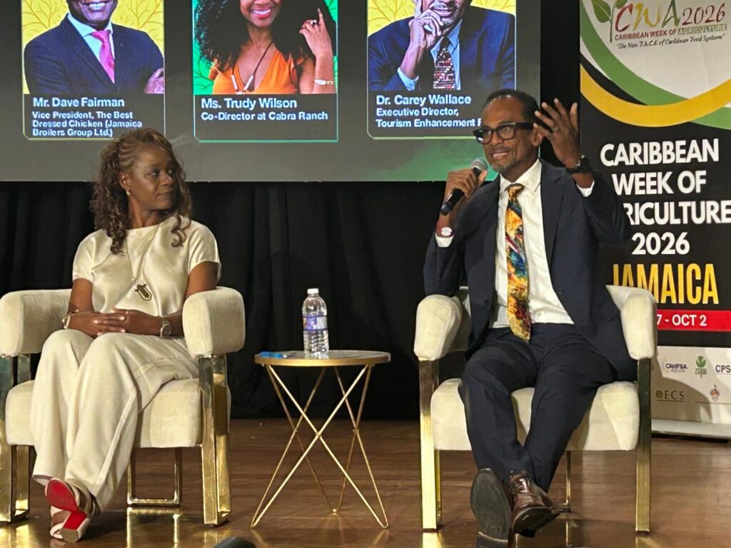 ALEX platform generates almost $2b in sales since 2018—TEF