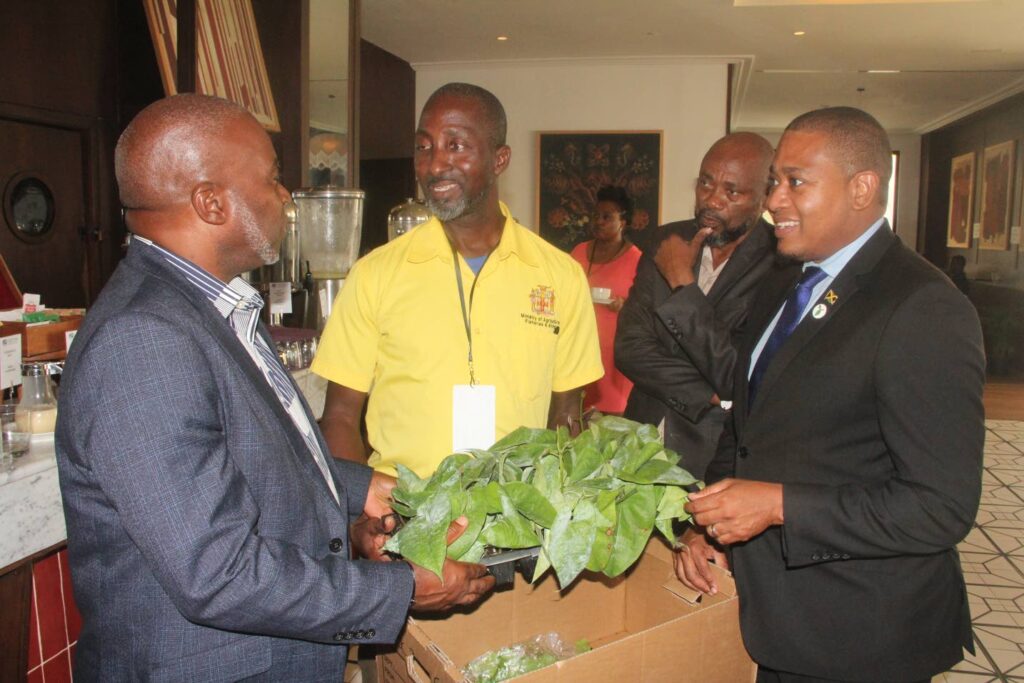 New yam planting method expected to boost yield