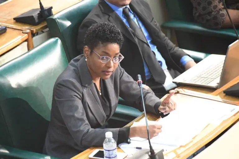 MONROE ELLIS...MGD could not demonstrate that the polluter-pays principle embedded in Sections 53A–55 of the Mining Regulations was being effectively enforceda