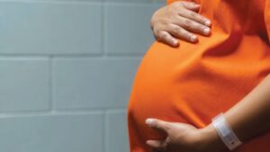 Pregnant in State care