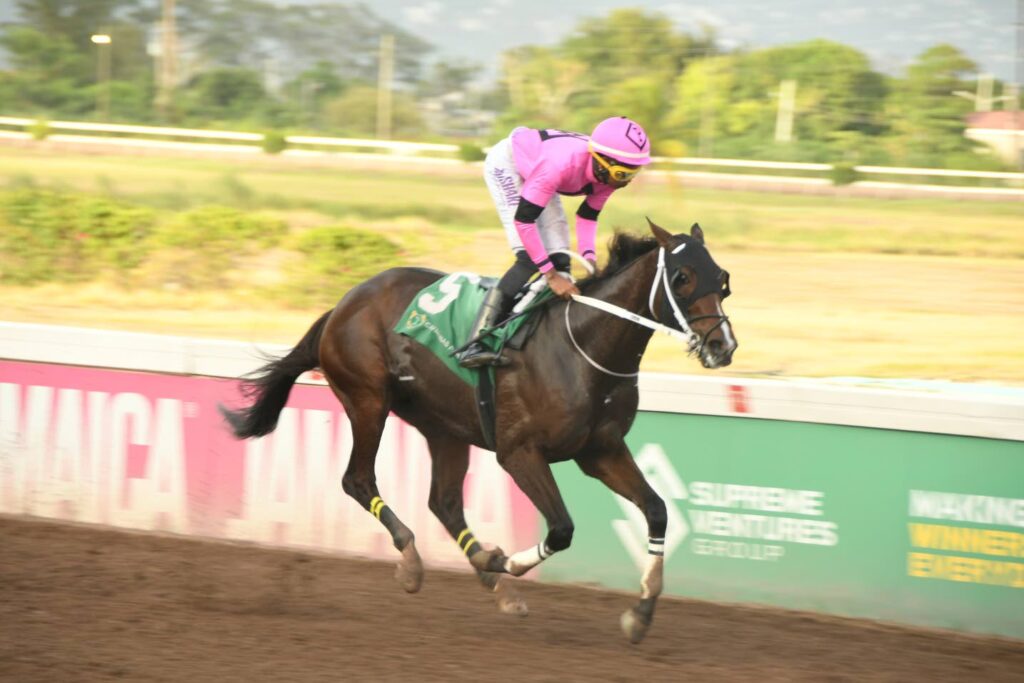 The Prince’s Spur to reign in Jamaica Cup