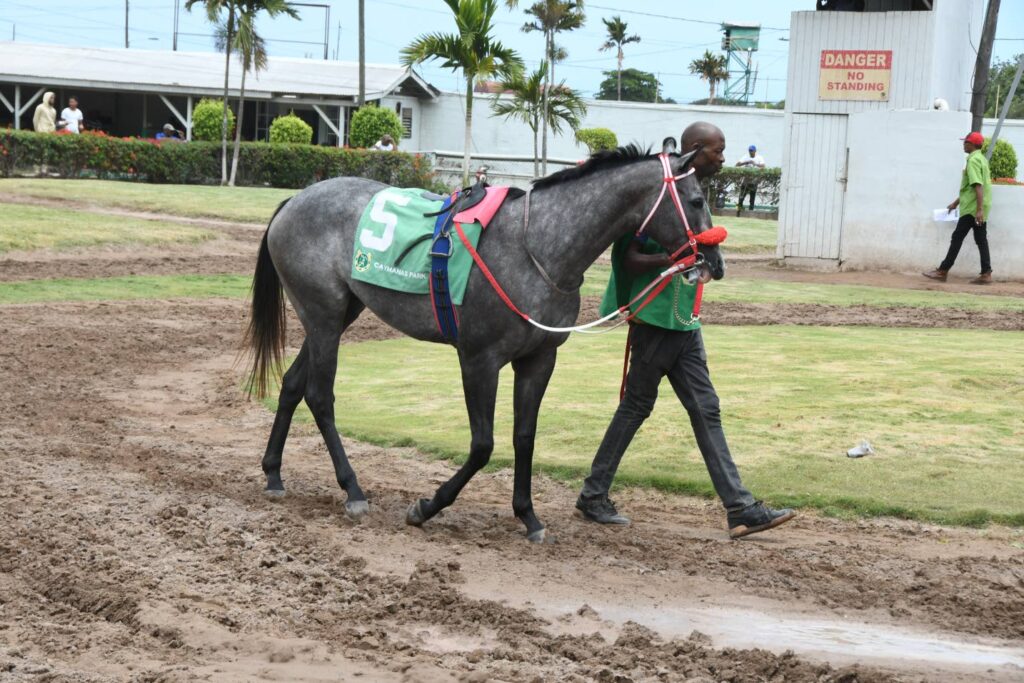 Pop Rocket to break maiden