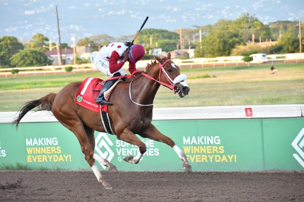 California Crown poised to reign in ‘Jolly Man’ Najair Memorial Trophy feature