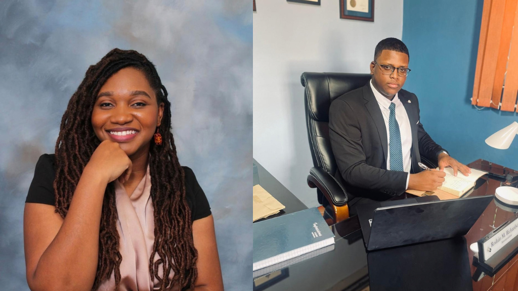 ‘Domestic violence is too serious,’ attorney and technology consultant say