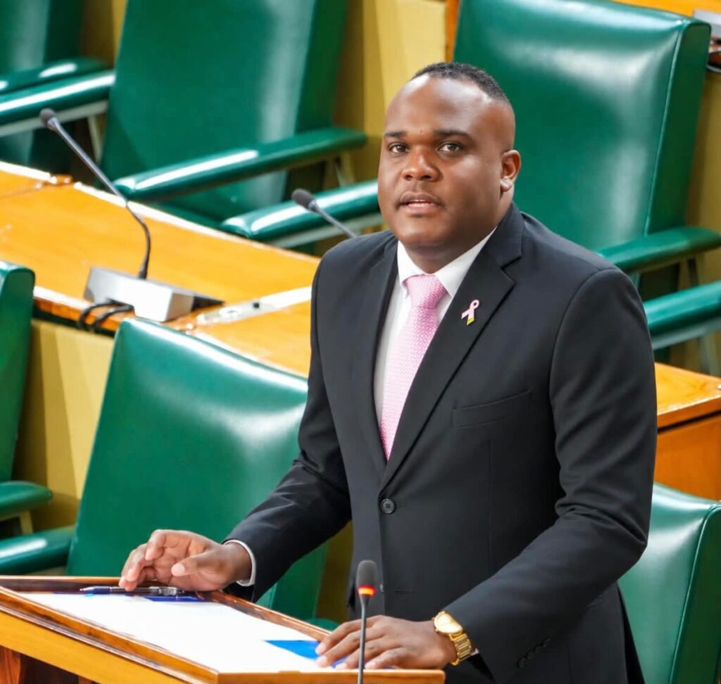 Fitz-Henley confident NaRRA will succeed, accuses Opposition of ‘smear campaign’