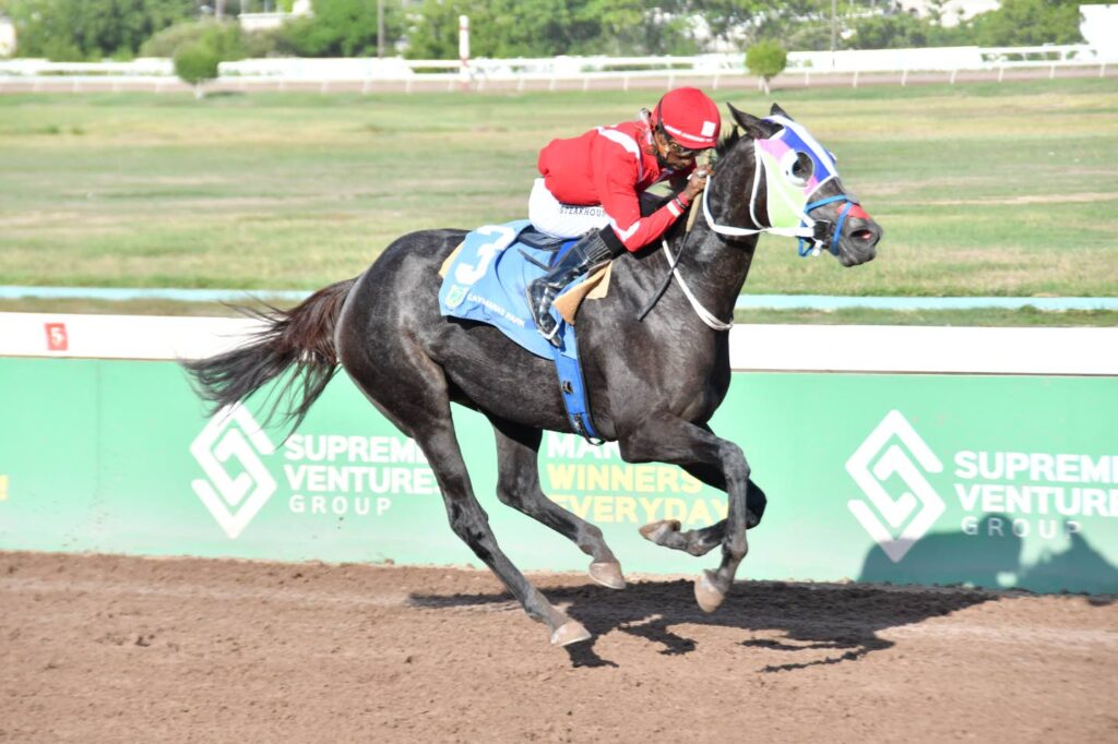 Patience pays off as Supernatural Power storms back in St Elizabeth Distaff