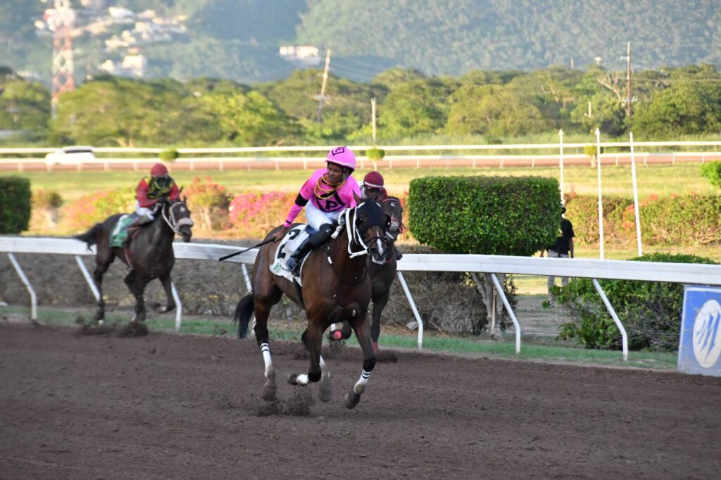 Crichton hails acclimatised The Prince’s Spur after Jamaica Cup masterclass