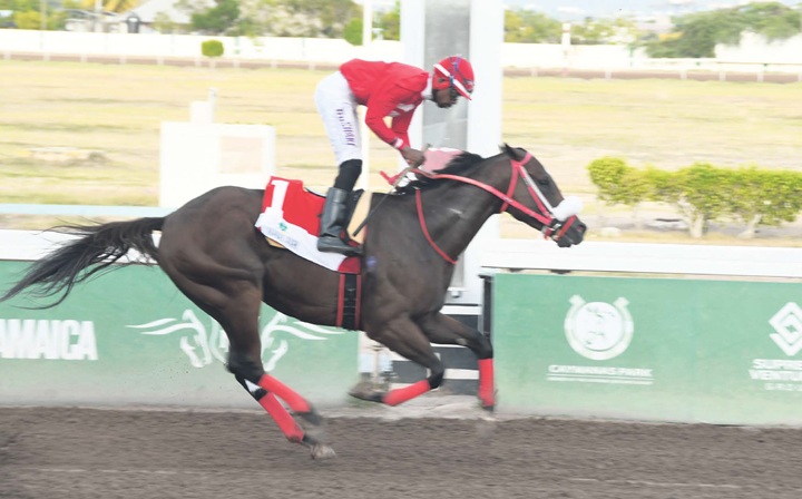 Chance rides prove decisive on Saturday card