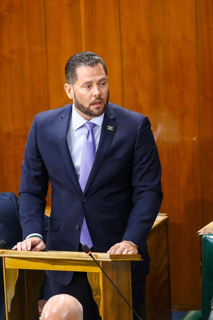 Tavares-Finson touts potential impact of Mediation Act