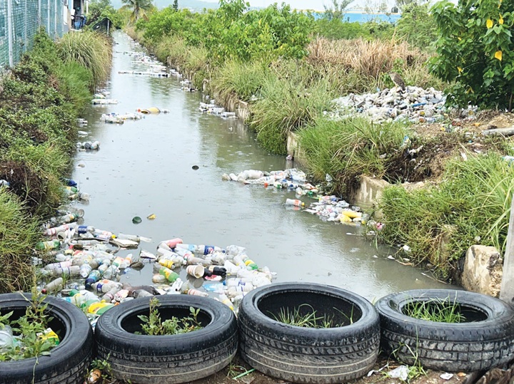 Mayor declares war on litterbugs