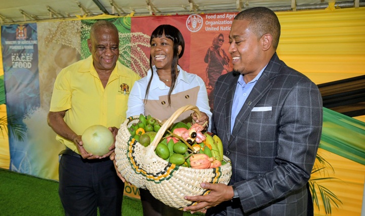 Green: No shortage of chicken, eggs or vegetables this Christmas