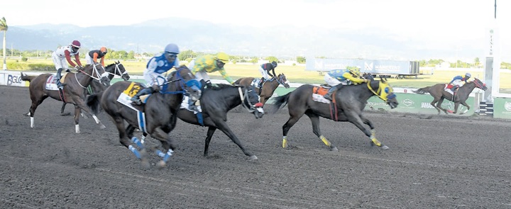 Lockdown stuns at 75-1 in feature race