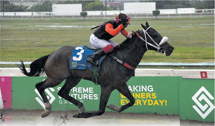 Money Market the one to beat in Nigel B Nunes Memorial Cup